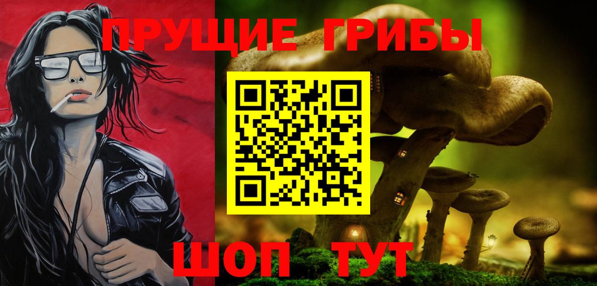 Псилоцибиновые грибы Psilocybine cubensis  Вход с VPN  Псилоцибиновые грибы Cubensis  Обь 